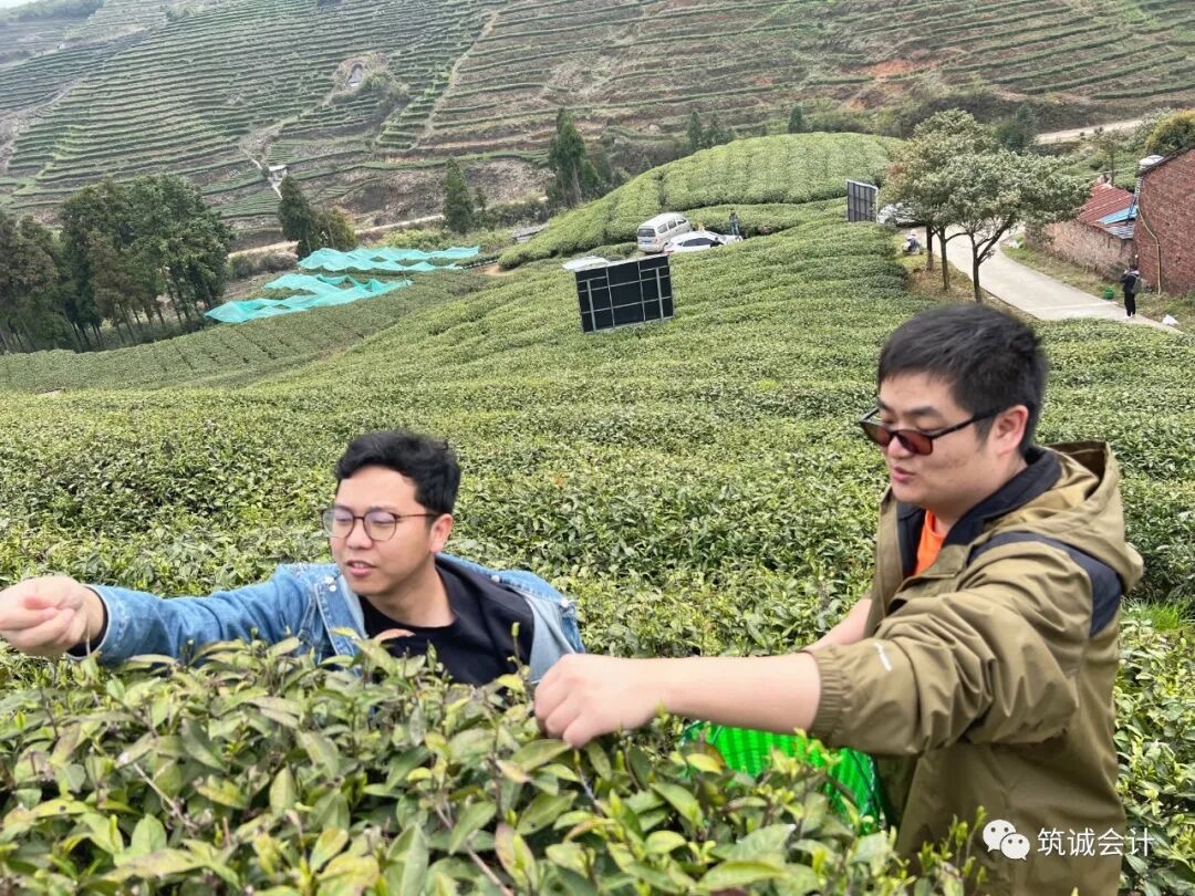 示例图片1